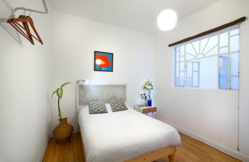 Downtown Mexico City House | Casa Azul for groups since 4 till 30 persons
