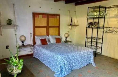 Alvaro Obregon House | Casa Azul las hamacas