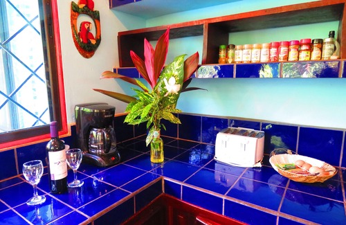 Pavones House | CASA AZUL & POOL - Lush Tropical Oasis - WiFi/AC/Bikes/Boards - Perfect Location