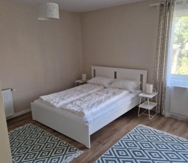 Sovata House | Casa Balint
