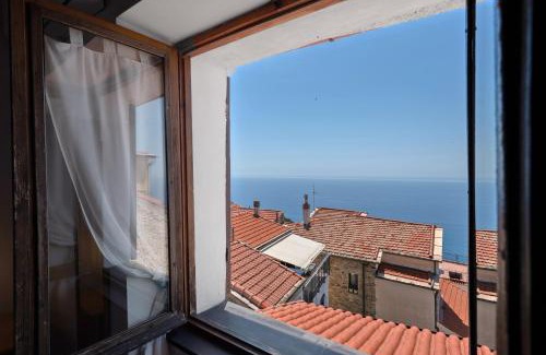 Cipressa House | Casa Basera