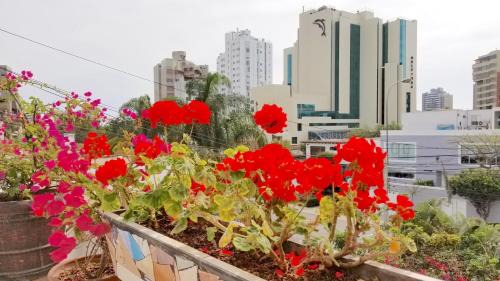Sector 1 Hotel | Casa Bella Boutique Hotel San Isidro