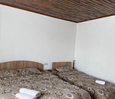 Cartisoara House | Casa Blendea Daniela