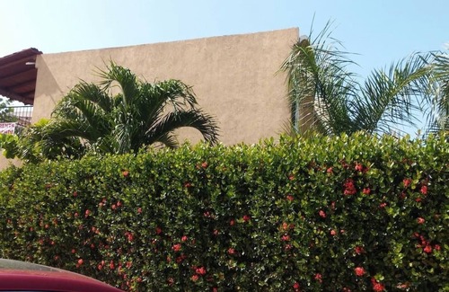 Ixtapa Hotel | Casa Bonita