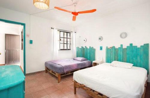 Colonia Centro House | Casa Cálido Hotel