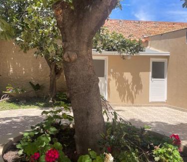Tarija House | Casa céntrica Las Higueras