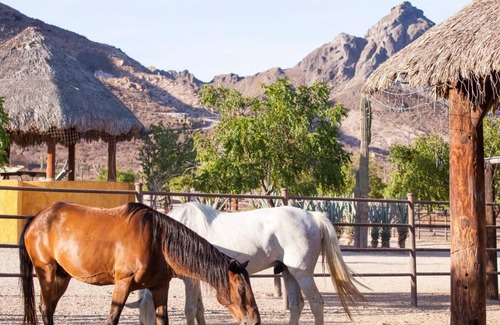 Pichilingue House | Casa Caballos at Rancho San Lorenzo. All inclusive!