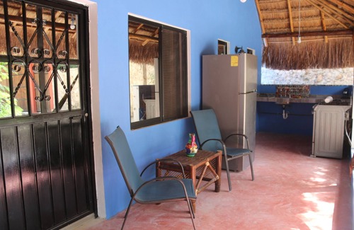 Francisco Uh May House | casa Cactus flower