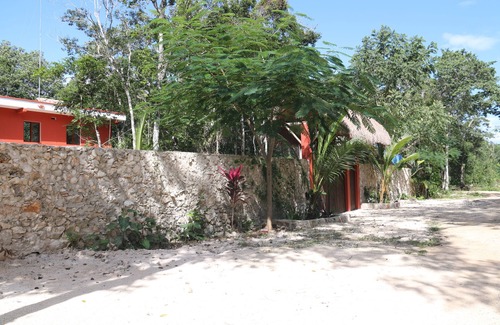 Francisco Uh May House | casa Cactus flower