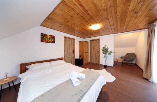 Moieciu Cabin | Casa Calatorului Rasnov