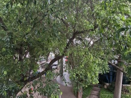 Praca da Bandeira House | Casa Caminhos de Ubá