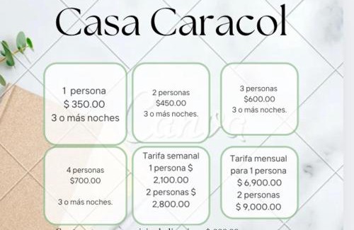 Zona Centro Apartment | Casa Caracol Guanajuato