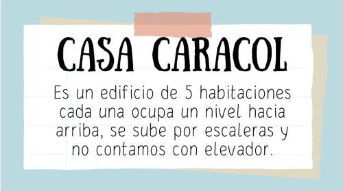 Zona Centro Apartment | Casa Caracol Guanajuato