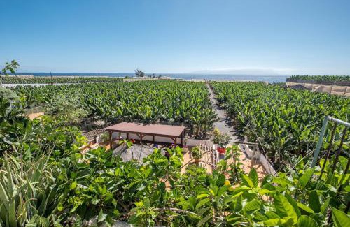 Alcala House | Casa Cardón - Villa Perenquén