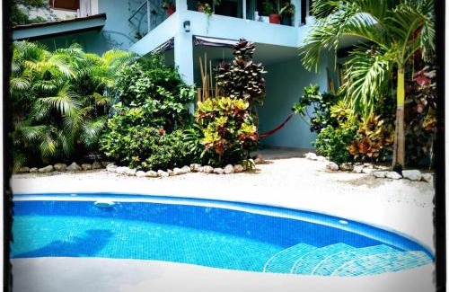 Samara Apartment | Casa Ceiba Samara