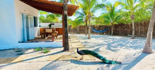 Atins House | Casa Celeste