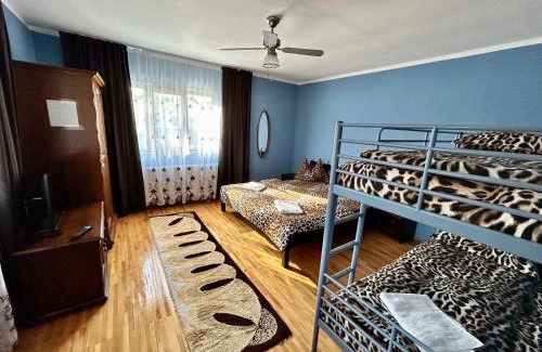 Ocna Sugatag House | Casa Chindris