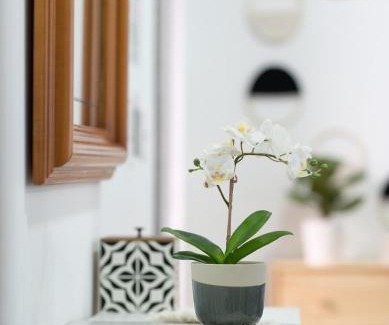 Del Carmen Apartment | Casa Cielo
