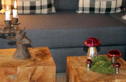 Tiefenbach Apartment | Casa Claudia - die schöne 4-Sterne-Fewo - im Sommer Bergbahntickets inclusive