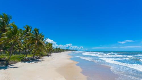 Olivenca Apartment | Casa completo com grande piscina sob coqueiros, pe na areia