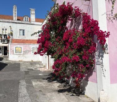 Belem Apartment | Casa Cor de Rosa