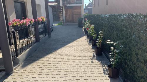 Toplita Apartment | Casa Crisan