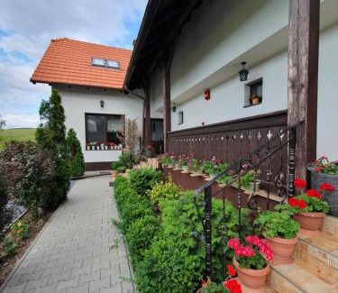 Baile Felix House | Casa Cu Pridvor