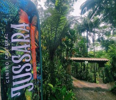 Joinville Other | Casa da Árvore - Jussara Cultural