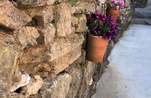 Castelo de Paiva House | Casa da Clarinha