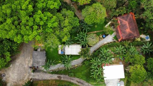 Vargem Grande House | Casa da Floresta