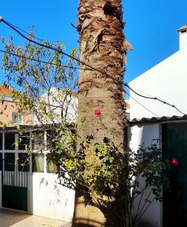 Pinhal Novo House | Casa da Forja