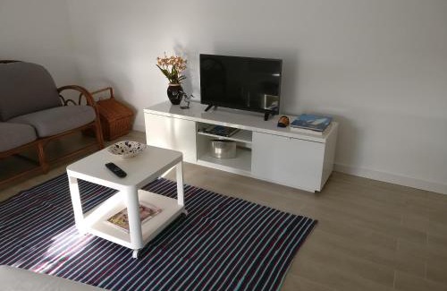 Sao Jacinto Apartment | Casa da Ilha dos Ovos