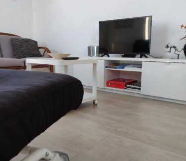 Sao Jacinto Apartment | Casa da Ilha dos Ovos