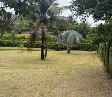 Paraty House | Casa da Jane