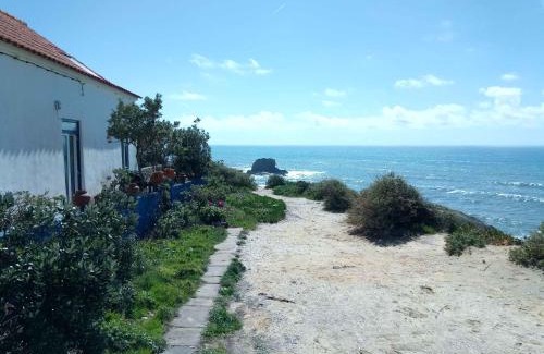 Zambujeira do Mar Apartment | CASA DA LAGINHA