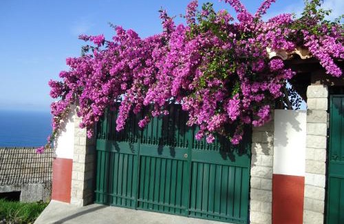 Estreito da Calheta House | Casa da Rainha