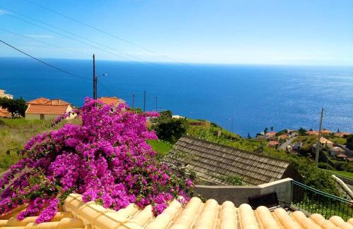Estreito da Calheta House | Casa da Rainha