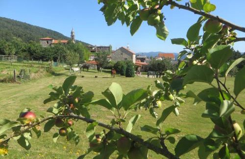 Noia House | Casa da Roncha
