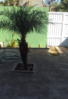 Sao Jose House | Casa da Tucuns