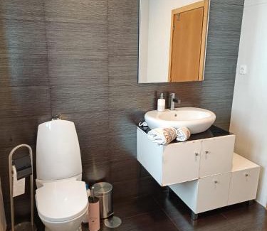 Cinfaes Ski Chalet | Casa da Vinha