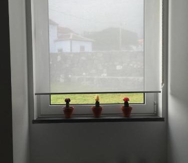 Angra do Heroismo Apartment | Casa das Cinco