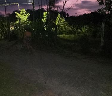Pacuare Reserve Other | Casa de árbol familiosa