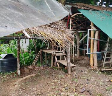 Pacuare Reserve Other | Casa de árbol familiosa