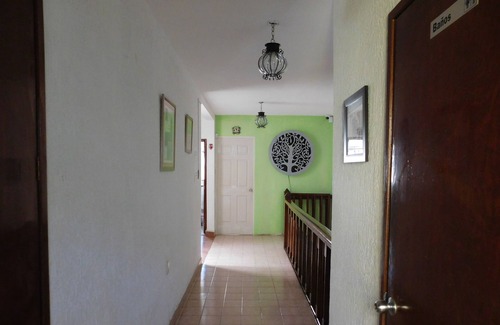 Leon House | Casa de Huespedes - Casona Luciernaga