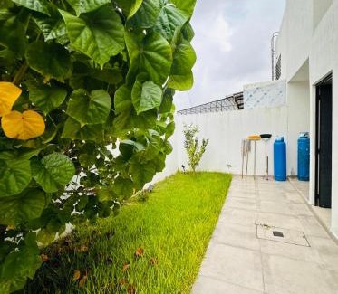 Colima House | Casa de la Paz