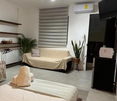 Zazil-ha Hotel | CASA DE LUZ Playa del Carmen
