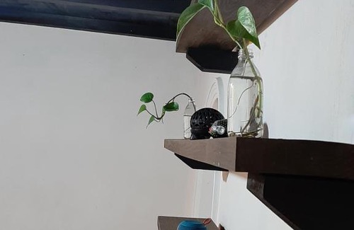 De Guadalupe House | Casa de Tlaly
