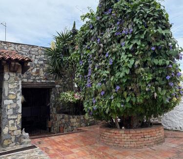 Jimenez Apartment | Casa de Piedra
