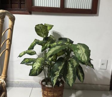 Palmeiras House | Casa de Praia em condomínio nas Palmeiras