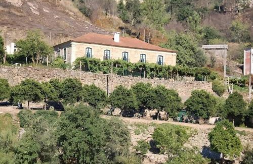 Oliveira do Douro House | Casa de Rebolfe (Cinfães - Douro)